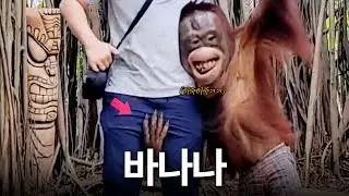 너무 적극적인 그녀ㅋㅋㅋㅋ 🇹🇭 2부