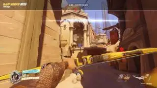 Overwatch 2017 Кластермэйстер)