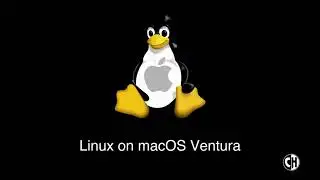 Run 9 Linux guest VM in macOS Virtualization Framework (Beta)