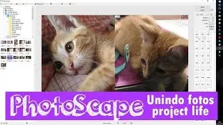 Como edito minhas fotos usando PhotoScape para Project Life