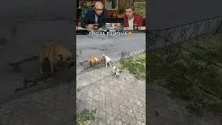 ЗАСМЕЯЛСЯ - ПОДПИСАЛСЯ! Ч.284🤣 ПРАВДА СМЕШНО!