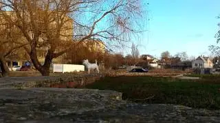 Дуся на прогулке