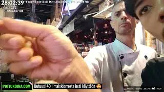 Pottukoira Unohtaa Livestriimin Pihalle #pottukoira #subathon