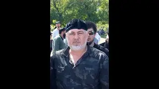 Аллерой. Г1ансолчехь цхьаьнакхетарш!
