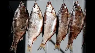 КАК ВЯЛИТЬ РЫБУ ДОМА!!! КАК СОЛИТЬ РЫБУ!!!