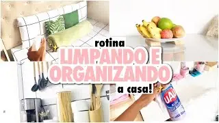 UM POUCO DO MEU DIA | LIMPANDO E ORGANIZANDO O LAR!🏡✨ #donadecasa #organização #limpeza