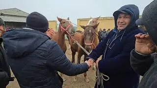 SAMARQAND KATTAQURGON OT BOZORI