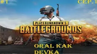 playerunknown's battlegrounds#1.1-Крик души