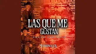 Me Haces Tanto Bien / Olvidala / Que Agonia / Huapango Lagunero