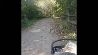 Cooper and his old fart on a fall Stroll.