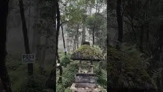 Motivasi dalam Memaknai Setiap Perjalanan Bagi Seorang Pendaki Gunung 