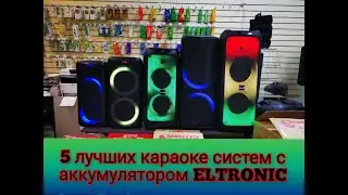 Обзор 5 Лучших акустических караоке систем ELTRONIC 2025/2026/2016/2018/2012/1027/1025/1023/1028