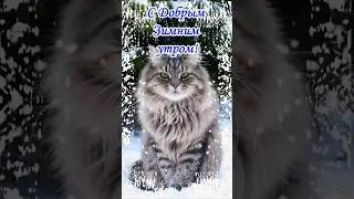 С Добрым зимним утром! Музыкальная открытка с тёплыми пожеланиями. 