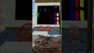 Chipi-chipi chapa-chapa