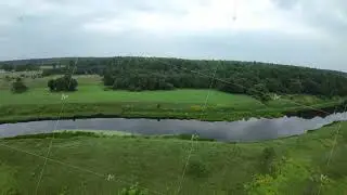 Expansive green meadow landscape with distant forest horizon view