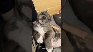 Устал ребенок🥰 