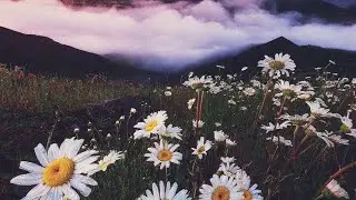 Всего пару минут,МОРОК УХОДИТ,ГАРМОНИЯ ПРИХОДИТ!