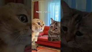 Первоапрельская шутка. Дорогая, я тебе изменил 