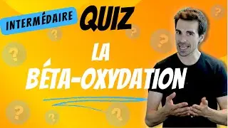 QUIZ -Béta oxydation- Intermédiaire