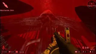 Killing Floor #8 Sharpshooter In Hell