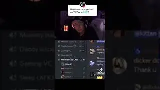 discord kitten roll call