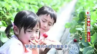 日本下田市