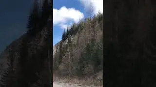 Это Россия 🇷🇺 брат ✊✊✊