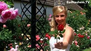 Rosen in Bad Nauheim / Steinfurth - Rosenfest 2014