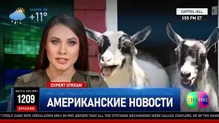 CSBSVNNQ Американские новости — выпуск #1209 от 27.02.2024