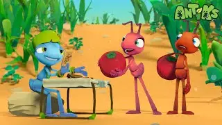 Mystic Moe🔮| Funny Cartoons For All The Family! | Funny Videos for kids | ANTIKS 🐜🌿