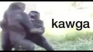 Monkey Go Happy (Flash version)  in 1:38 (world record)