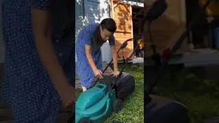 Так что все-таки лучше?