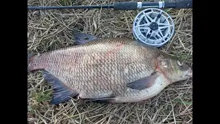 Large BREAM on grandfather's tackle. Western Dvina (Daugava)