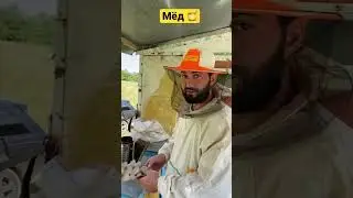 Как Выкачивают МЁД 🍯 Горный Мёд Натуральный Горный Мёд 