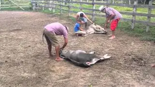 TRABAJO DE LLANO