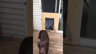 Ну очень узкий проход.