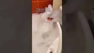 ЛУЧШЕЕ! Хабибка!