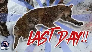 5th And Final Day! I Utah Mountain Lion Hunt | January 2022 | 4K