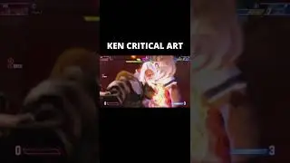 KEN CRITICAL ART - SF6