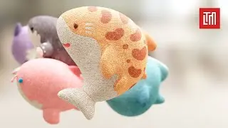 TLTM - Shark Base Model