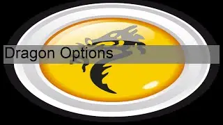 Dragon Options