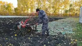 Плуг ПЦ 1-18 Пахота ботвы.
