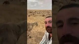 Ben askere gideceğim gülçin size emanet Allah emanet olun