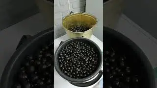 Субботний денек💓