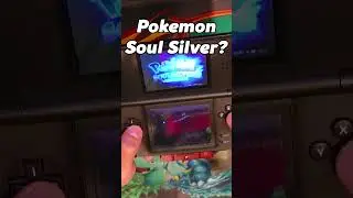 Do NOT Buy Fake Pokemon Games...