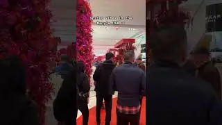 Macy's Herald Square in New York USA🇺🇸 #shorts #macys #usa #viralreels #springflowers #short