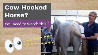 Cow hocked horses