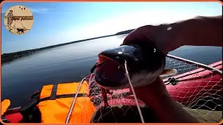 Охота на сома,Новички в деле..fishing,bushcraft,