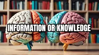 The Surprising Reason Why INFORMATION is NOT the Same as Knowledge and What You Can Do About It