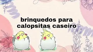 Como criar brinquedos para calopsitas